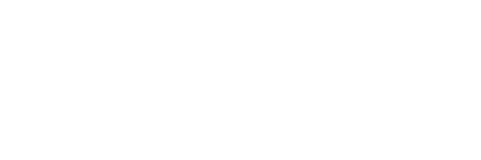companies 3.png