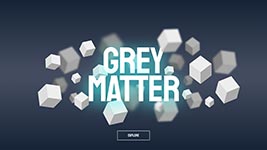 grey 1.jpg